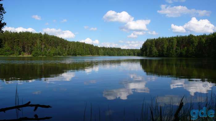Отдых Браславские озёра, фотография 10