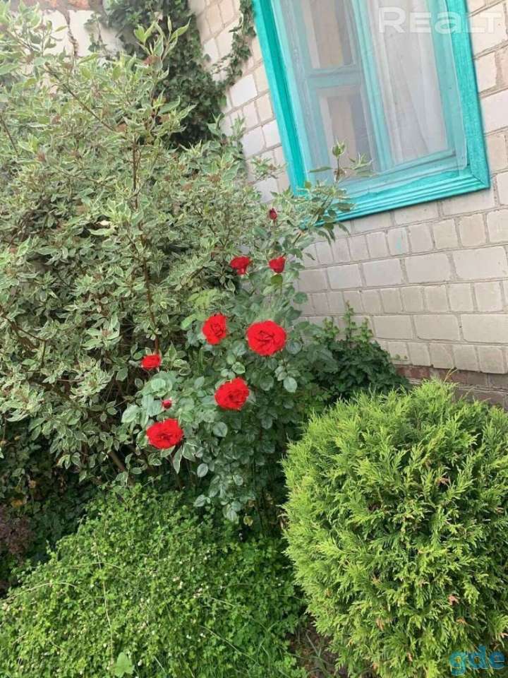 Продается дача, СТ Мичуринец, фотография 11