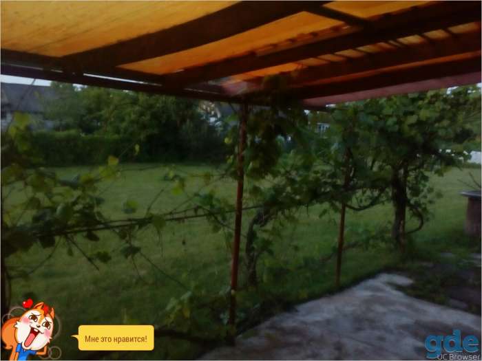 продам дачу, д.Боровцы, фотография 3