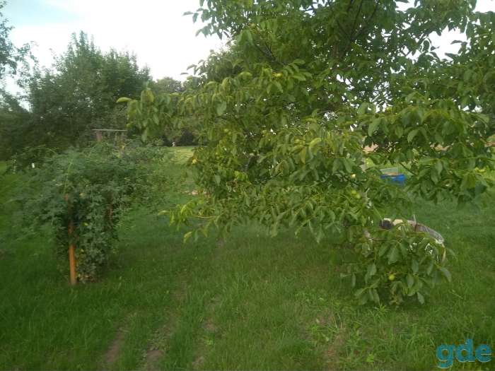 Продам дом в деревне, Д.Працавичи, района., фотография 7