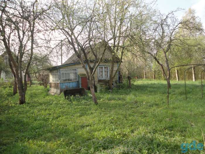 Дача не далеко от Бреста, Беларусь, область, район, СТ Здоровье-2008, фотография 2