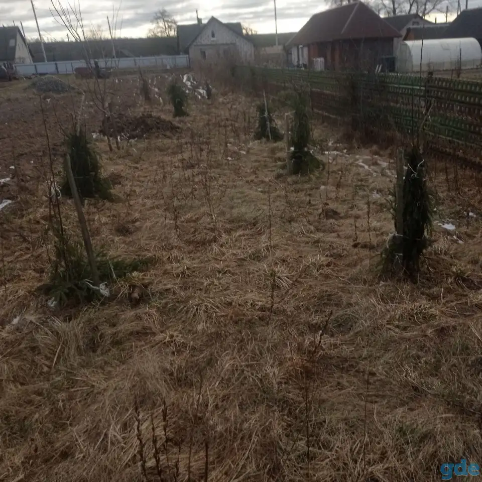 Продается участок, Гродненская область, Лидский район, д.Докудово, фотография 4