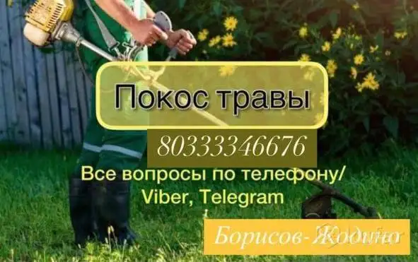 Покос травы, фотография 1