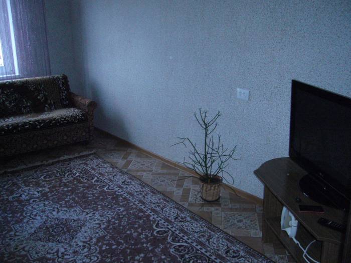Уютная квартира на сутки, фотография 8