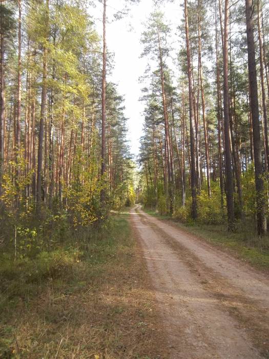 Участок с домом в красивейшем уголке природы., фотография 2