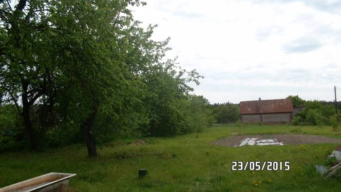 Дом у реки Свислочь, д.Озерище 26, фотография 5