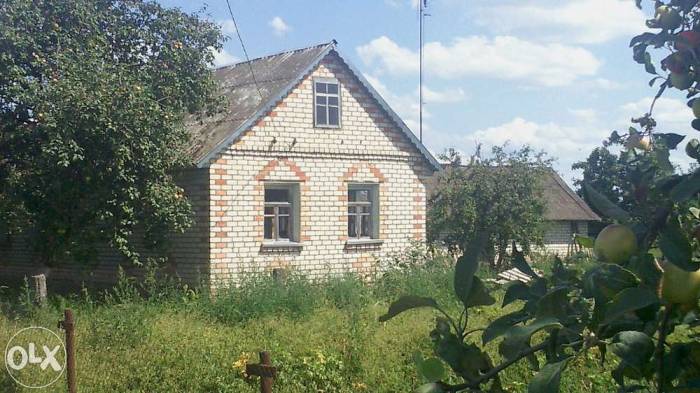 Продам кирпичный дом г. Слуцк, (д. Михейки) Большой участок., фотография 1