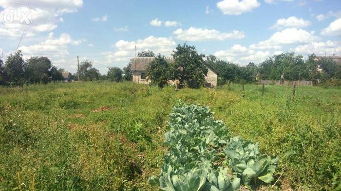 Продам кирпичный дом г. Слуцк, (д. Михейки) Большой участок., фотография 4