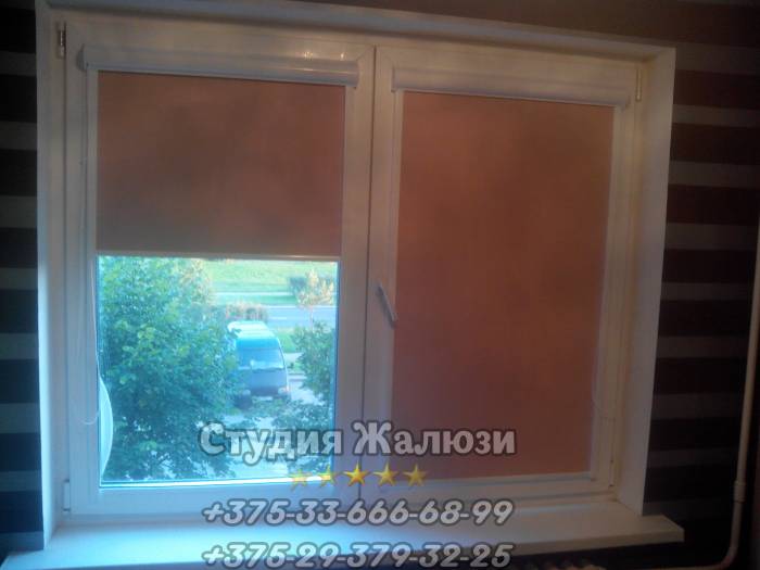 Жалюзи, Рулонные шторы, День-Ночь, фотография 4