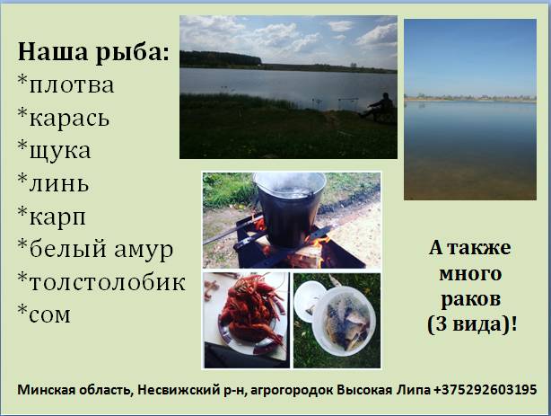 Озеро Высокая Липа, фотография 12