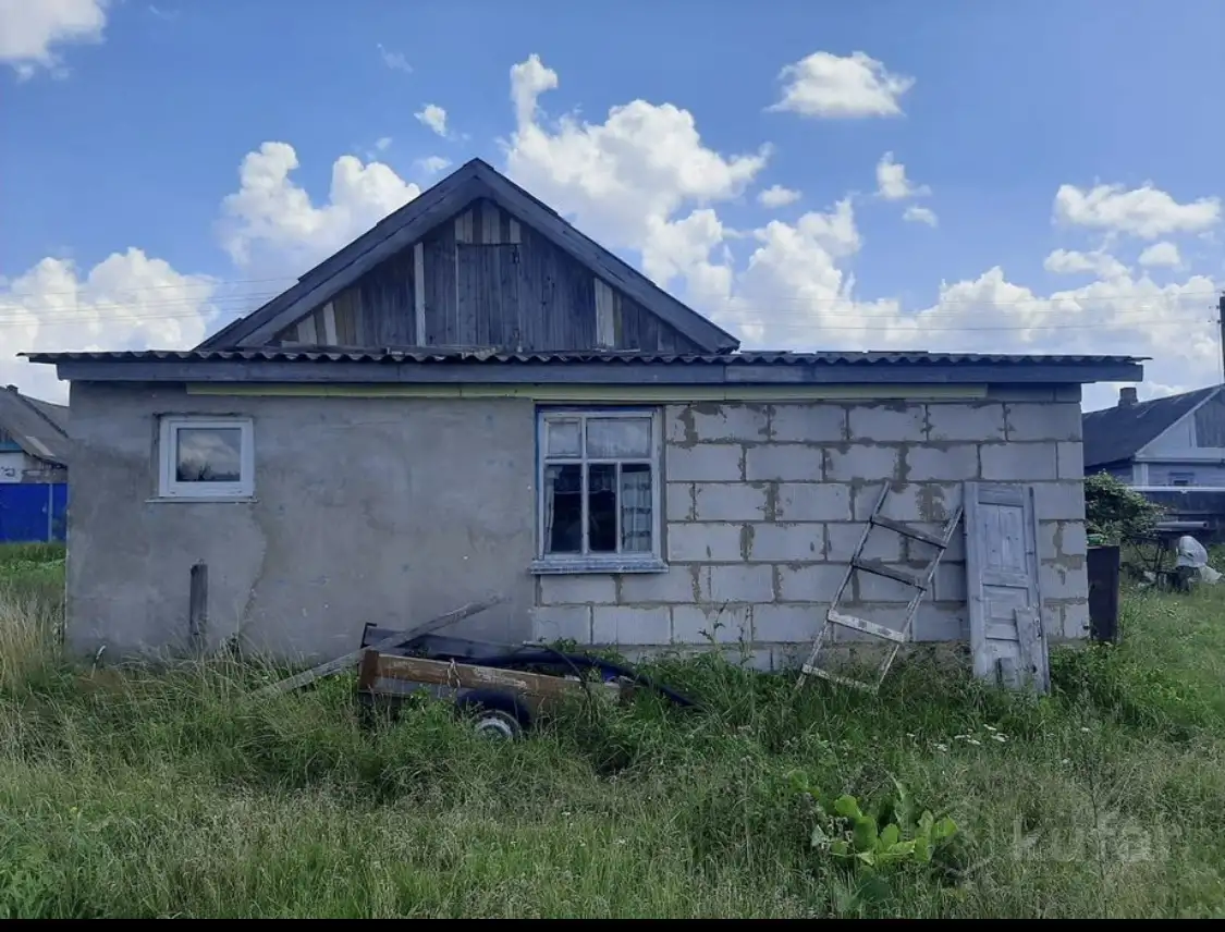 Дом, район, Могилёвская область, фотография 5