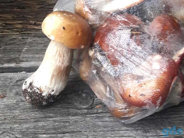 Аксаковщина,новый капитальный дом, с/т Родник, аксаковщина, фотография 8