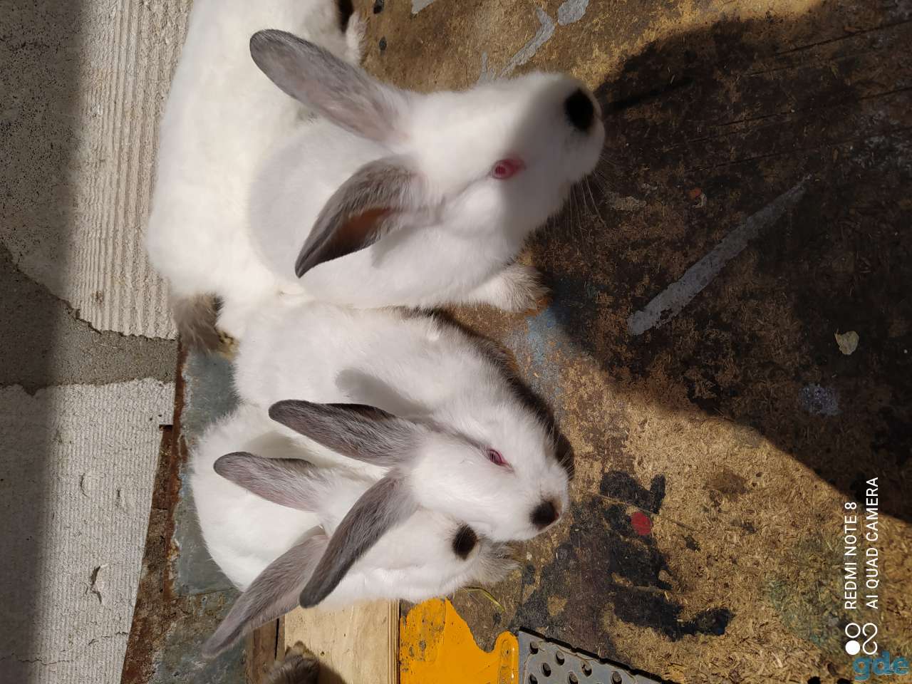 продажа, фотография 3