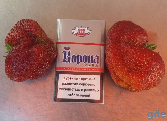 Саженцы клубники Максим, фотография 3