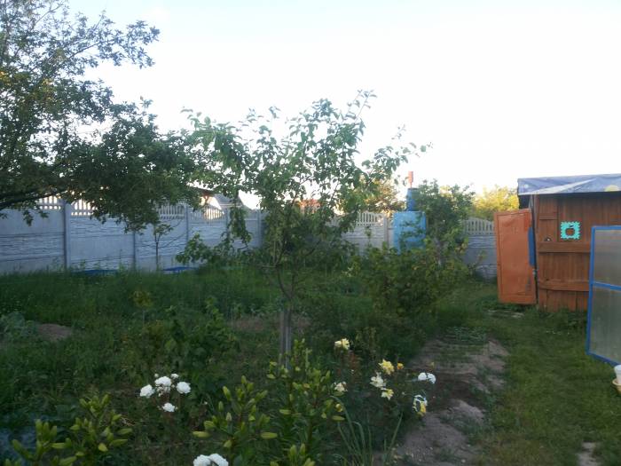 Дачу продам, Домашаны, фотография 9
