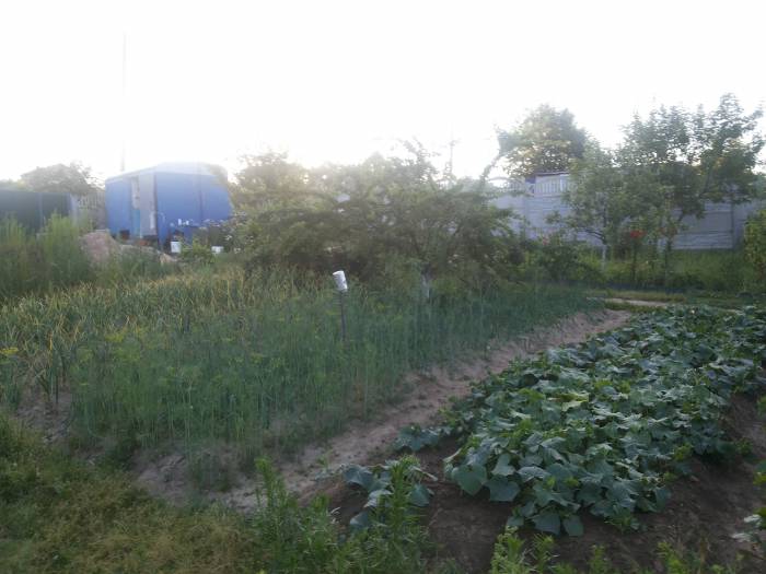 Дачу продам, Домашаны, фотография 10