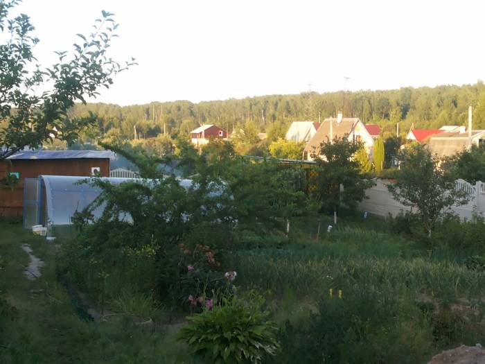 Дачу продам, Домашаны, фотография 11