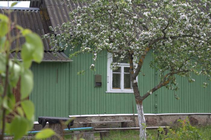 продам дом с участком, фотография 6
