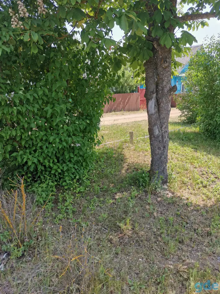 Участок со срубом дома в 5 мин от Червеня!, фотография 7