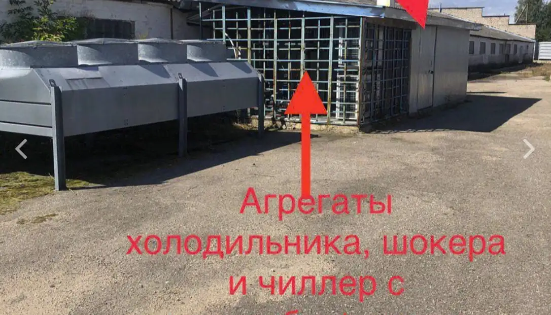 Продаю, ищу партнеров или инвесторов на действующий бизнес по выращиванию грибов шампиньонов и вешенки., фотография 6