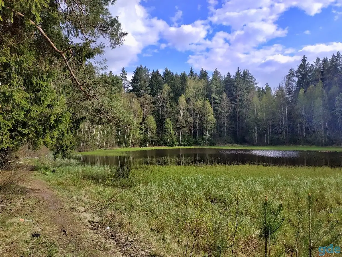 Сдаю дачуна лето недалеко от Раубич, район, фотография 5