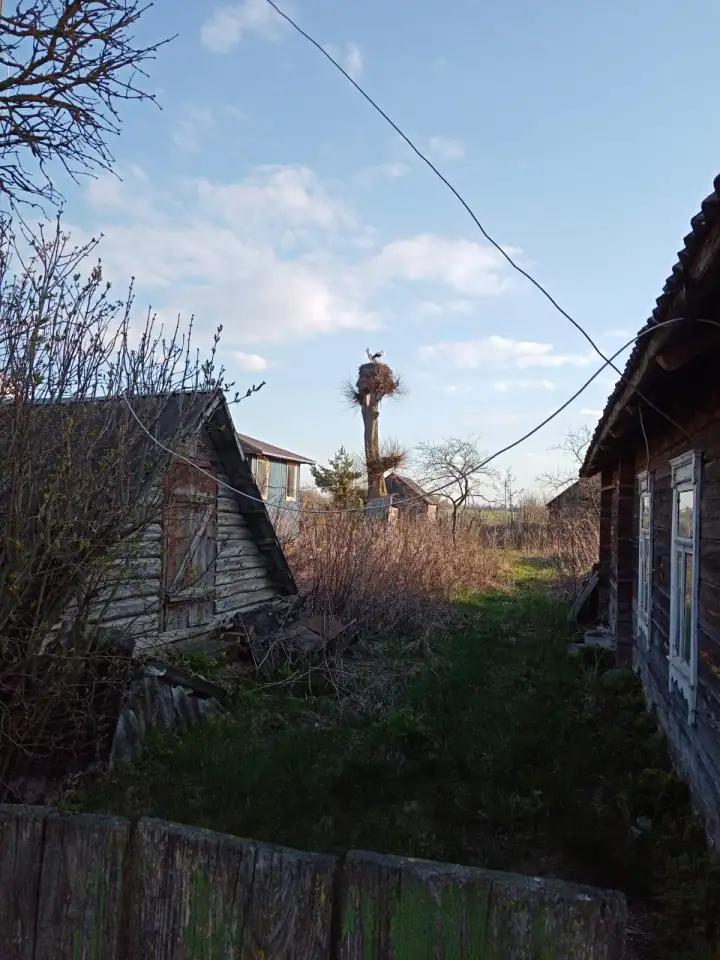 Продаю дом в деревне, Погорелка    сельсовет     Еремичи, фотография 1