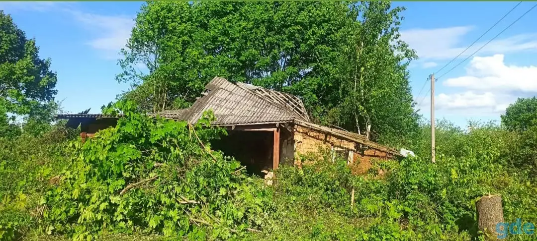 Земельный участок на территории Нац.парка, на берегу оз. Высокое!, фотография 4