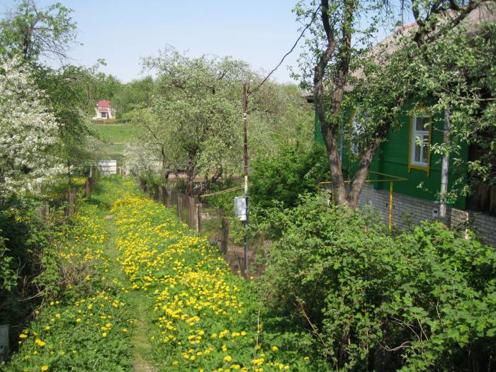 В  Орше на берегу Днепра в уютном уголке продаётся дом, фотография 2