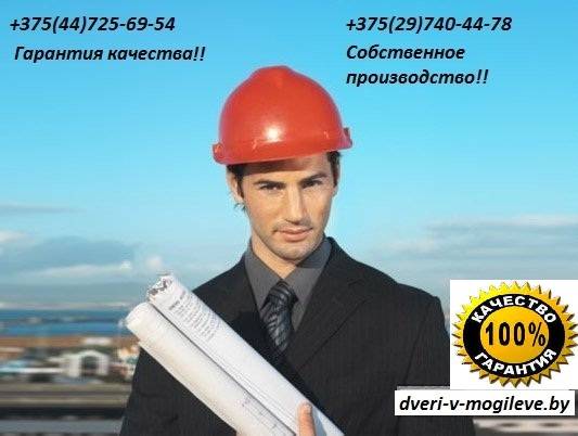 Двери входные и межкомнатные от производителя с установкой, фотография 1