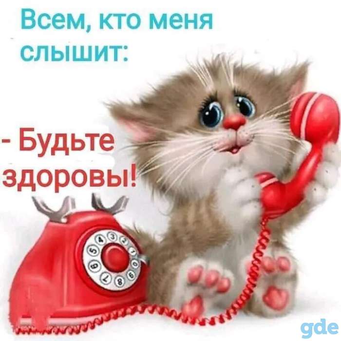 Ищу репититора, фотография 1