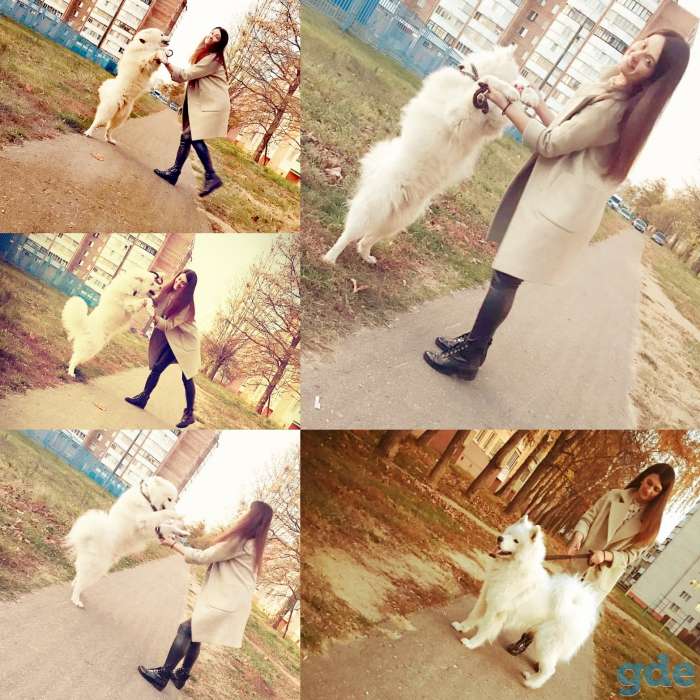 Вязка, фотография 1