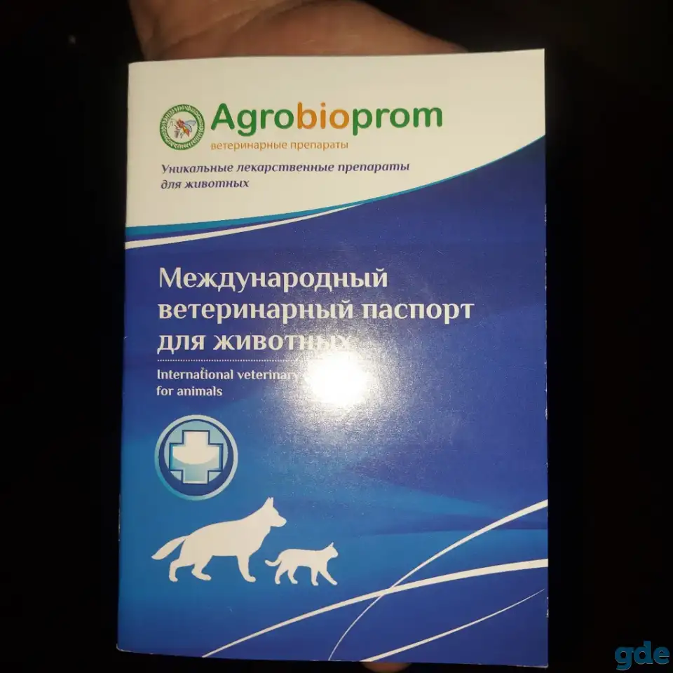 Мейн кун, фотография 2