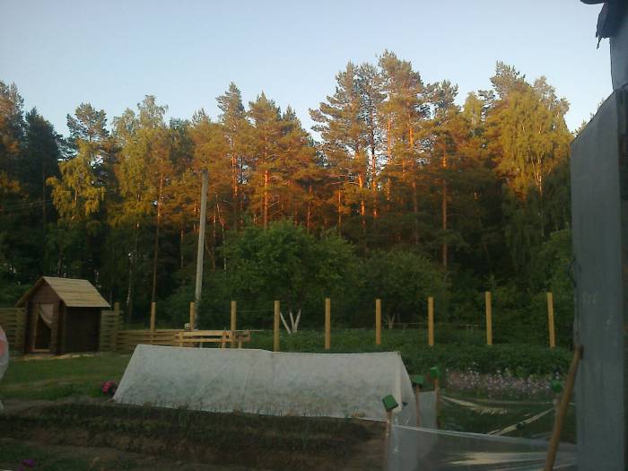 Участок, Голубое небо, фотография 6