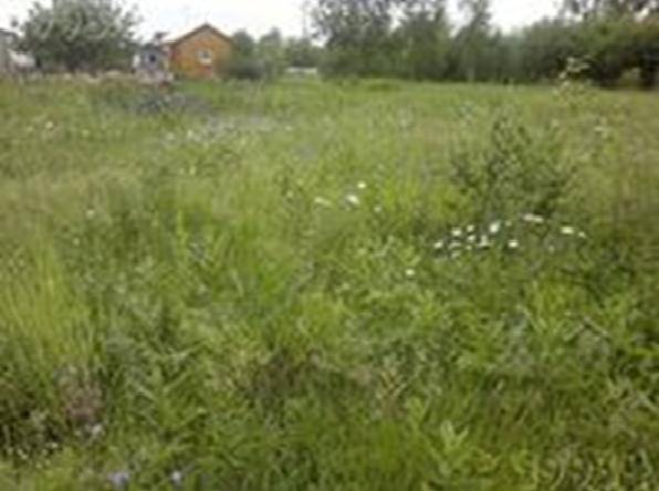 Продам участок земли 10 соток, фотография 2