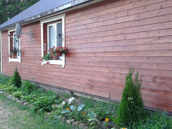 Ищу работу, фотография 7