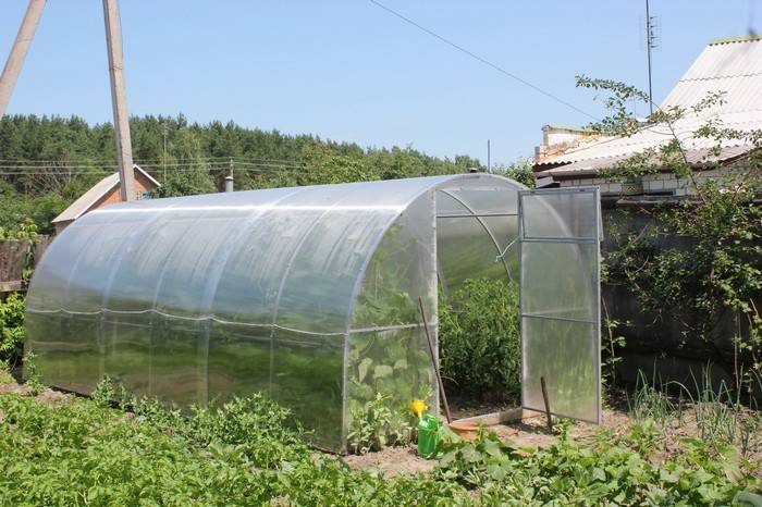 Продам теплицу из поликарбоната и квадратной профильной трубы 3х6, фотография 1
