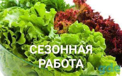 Бесплатные вакансии Польши, фотография 1