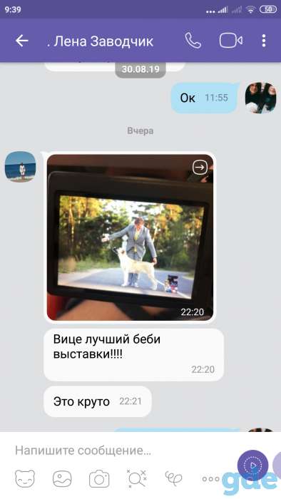 Среднеазиатская овчарка, фотография 4