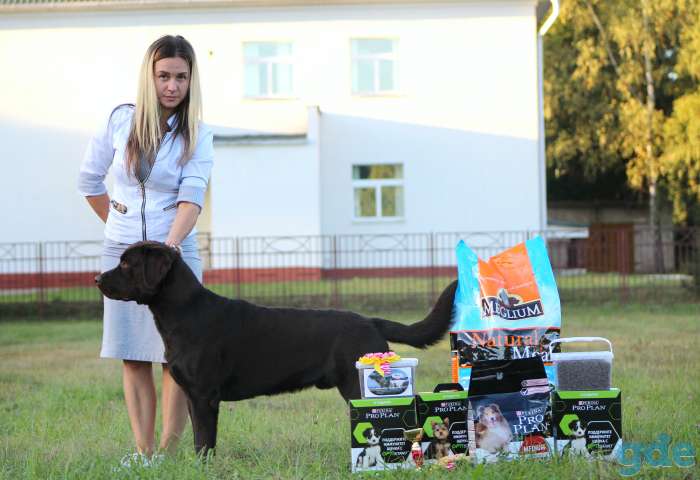 Хендлер  Минск, фотография 2