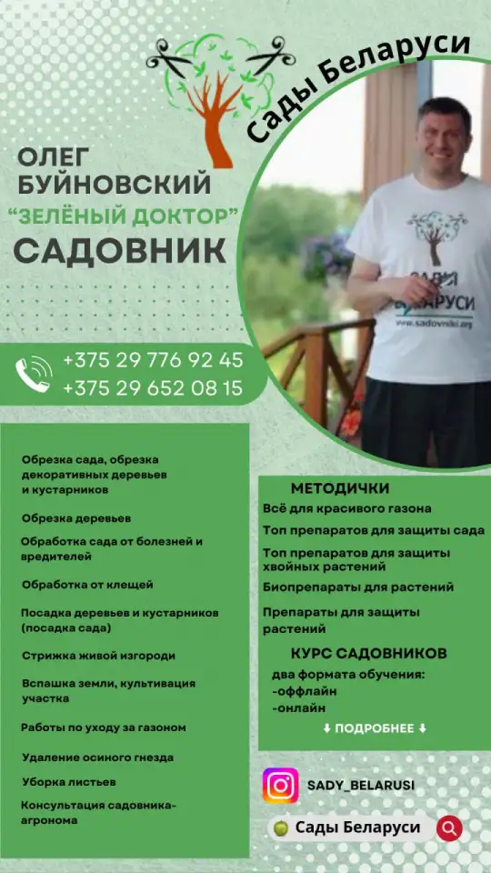 Услуги садовника, обрезка сада и другие, фотография 1