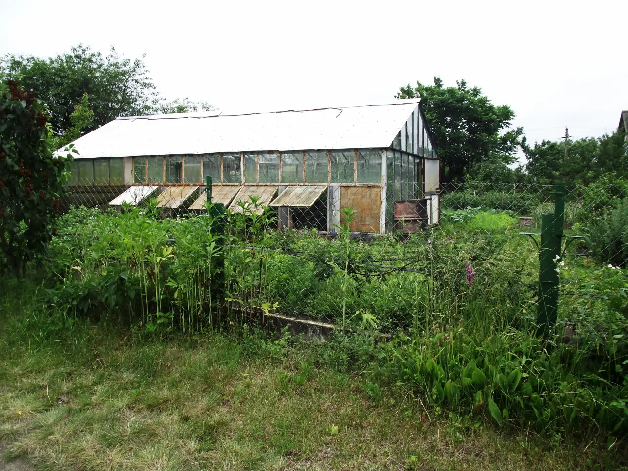 Продажа дачи, обл. Ветковский р-н д.Рудня-Споницкая., фотография 5