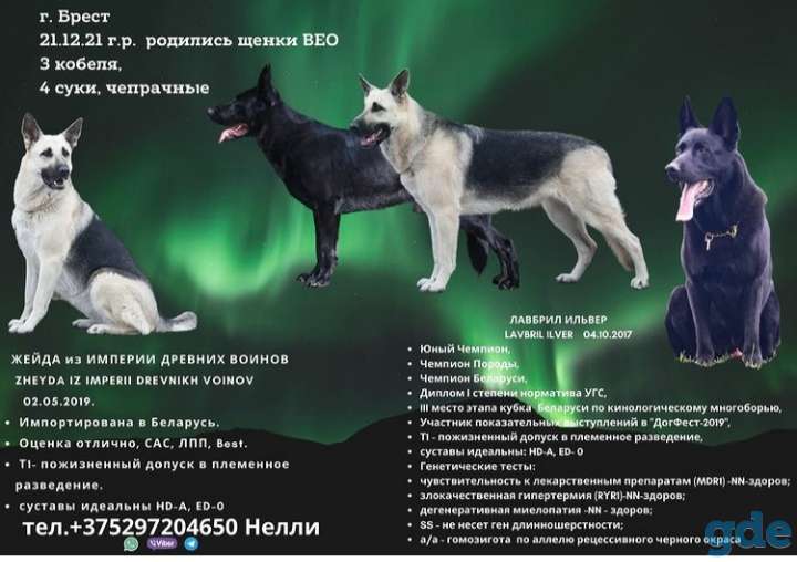 Девочка Жасмин, фотография 4