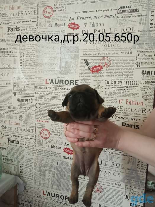 Мальчик и девочка,красные,д.р.20.05., кушают сами, фотография 2