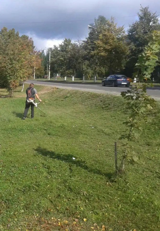 Покосы. Уборка листьев, снега. Обрезка кустов, фотография 1