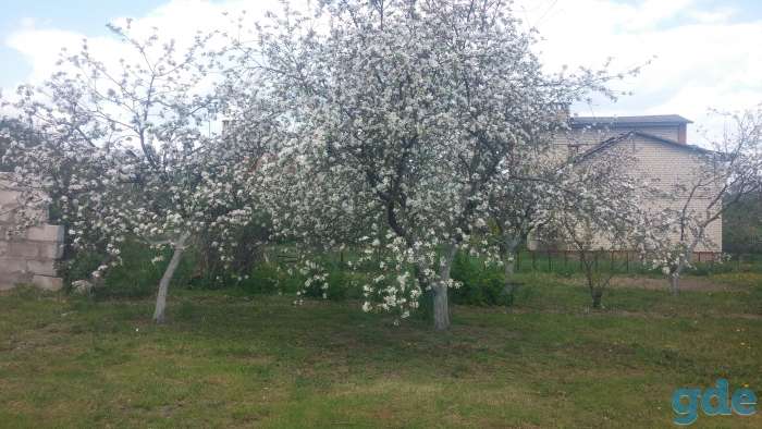 Продам дом в Новые Самотевичи, фотография 6