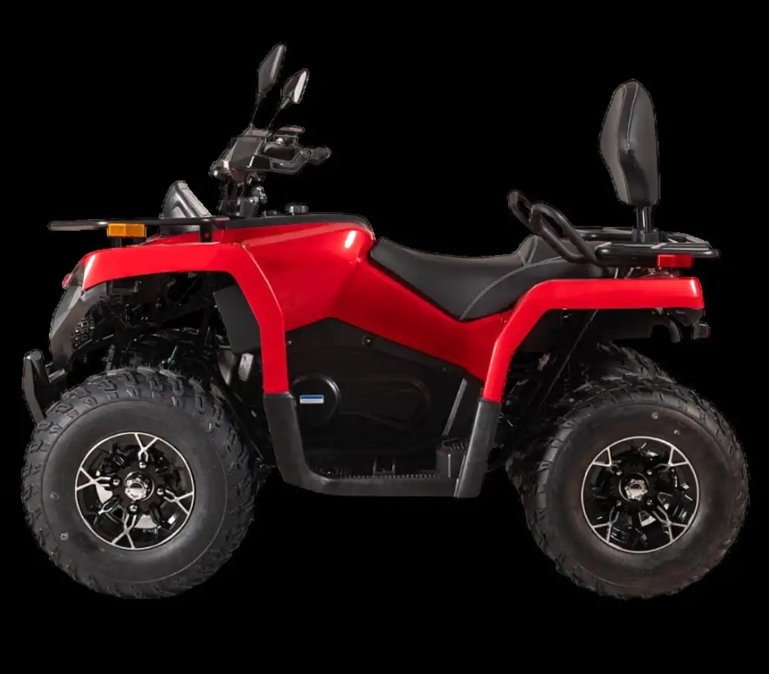 Квадрицикл bizon yk250 lux efi, фотография 3