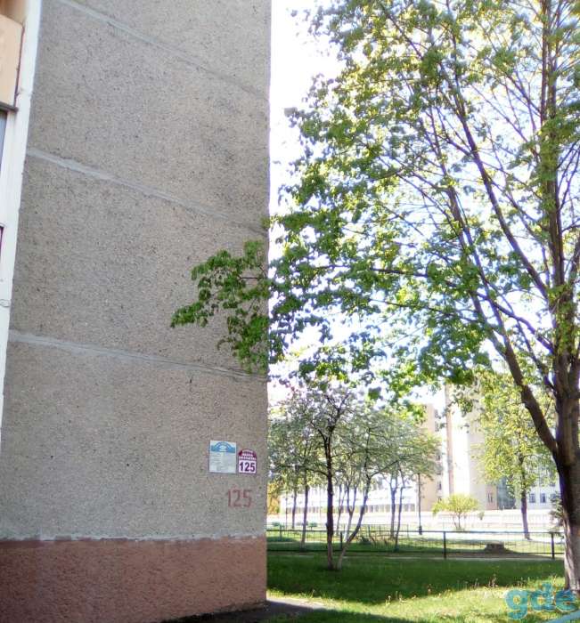 Продажа 1ком квартиры в рогачеве, Рогачев Гомельская обл, фотография 6