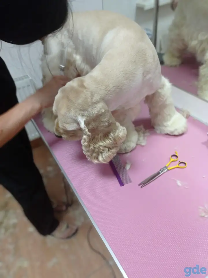 ✂️, фотография 11