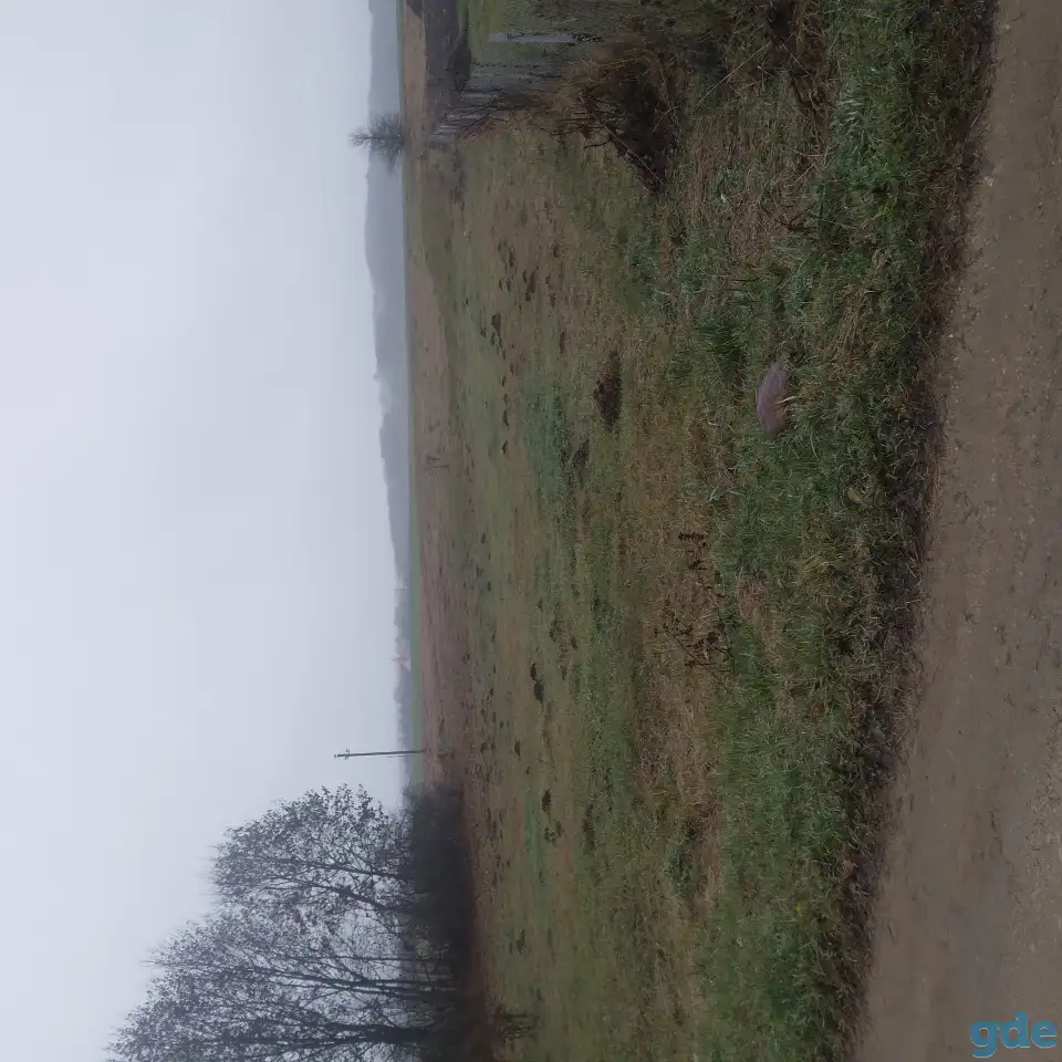 Продоеться участок, Минская обл воложинский район д.колдыки, фотография 1