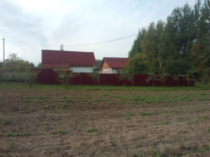 сдам на новый год, фотография 2